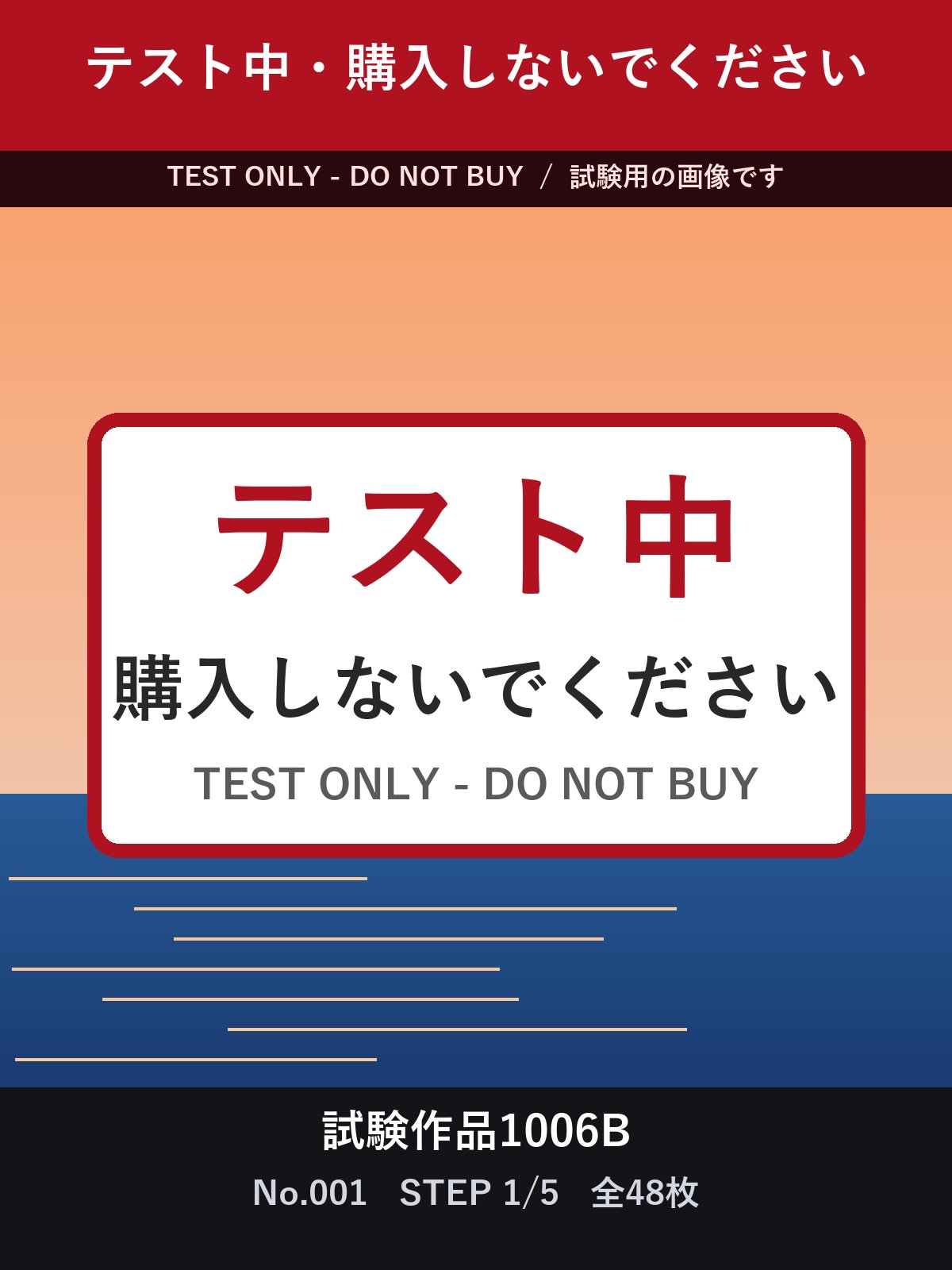 試験作品1006B テスト中・購入しないでください 合計48枚