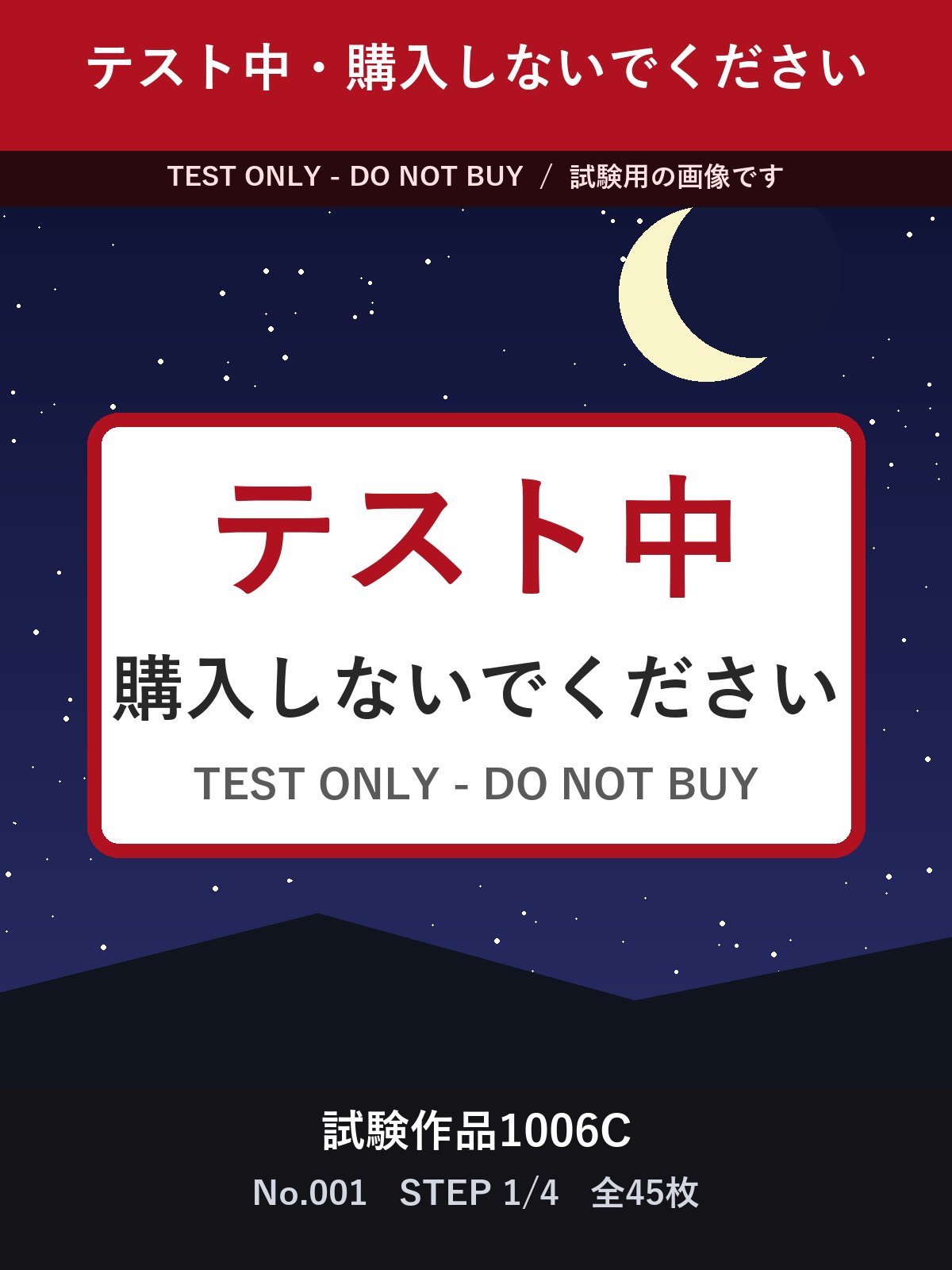 試験作品1006C テスト中・購入しないでください 合計45枚 サンプル 1