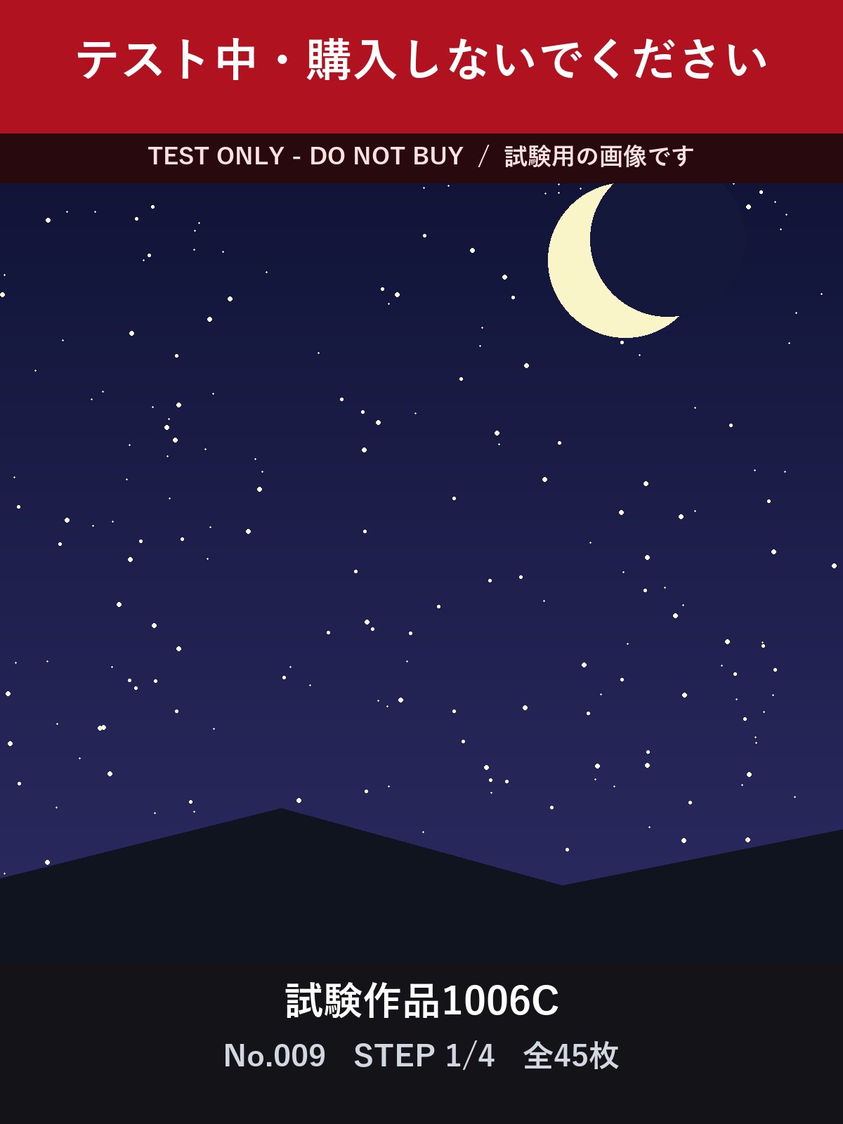試験作品1006C テスト中・購入しないでください 合計45枚 サンプル 2